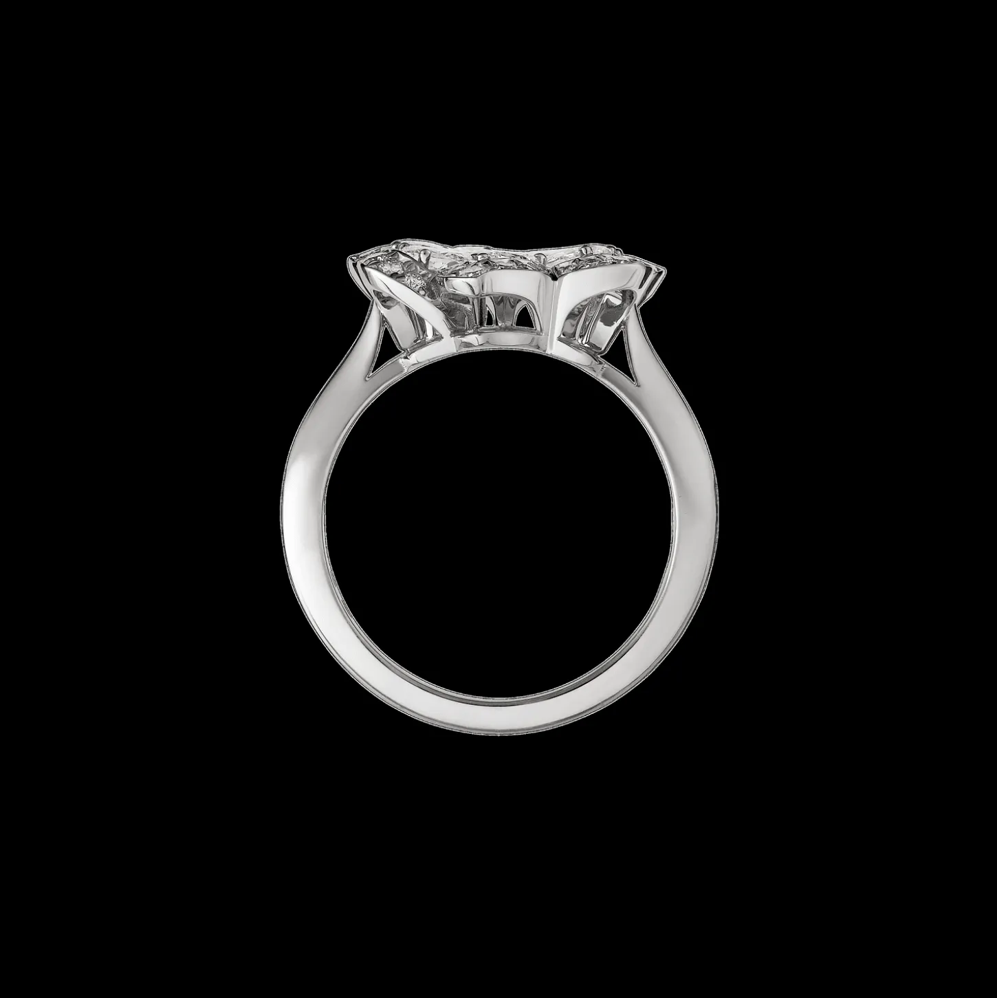 Precious Lace Mini-Frou-Frou